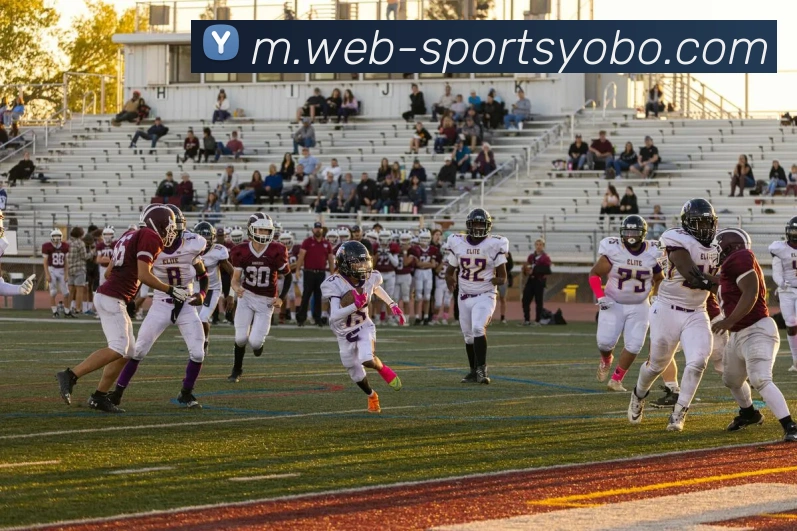 yobo体育APP 高清赛事图